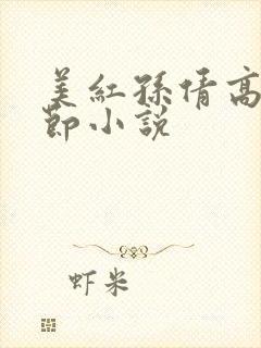 美红孙倩高义章节小说