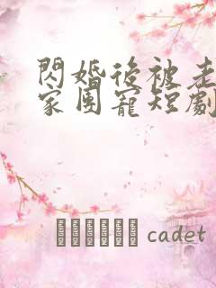 闪婚后被老公全家团宠短剧100集免费观看