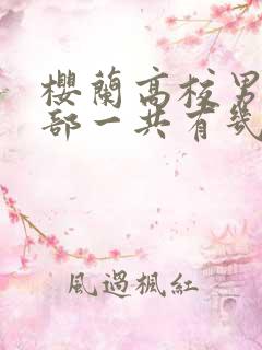 樱兰高校男公关部一共有几季