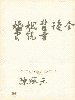 婚姻背后全集免费观看