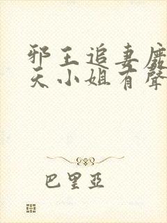 邪王追妻废材逆天小姐有声书