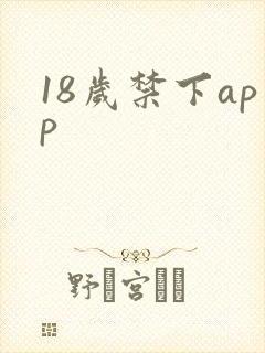 18岁禁下app