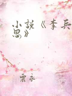 小说《李兵与沈思》