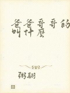 爸爸哥哥的儿子叫什么