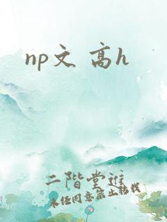 np文 高h