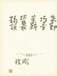 孙哲叶巧朱颜小说最新章节