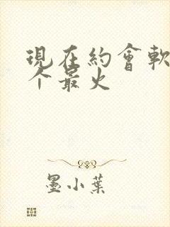 现在约会软件哪个最火