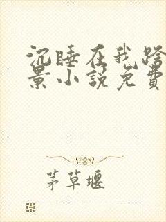 沉睡在我跨下的景小说免费阅读最新