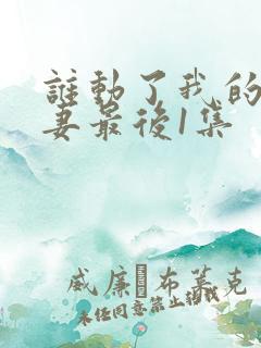 谁动了我的未婚妻最后1集