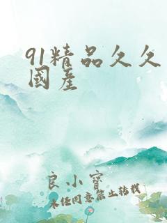 91精品久久久国产