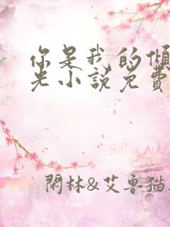 你是我的倾城时光小说免费阅读全文