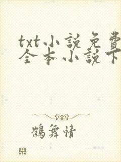 txt小说免费全本小说下载阅读器