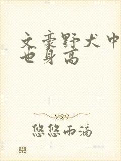 文豪野犬中原中也身高