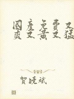 国产免费又色又爽又黄又猛