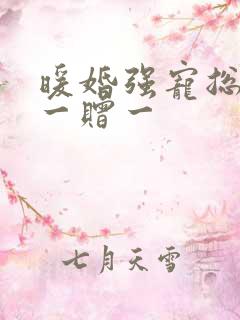 暖婚强宠总裁娶一赠一