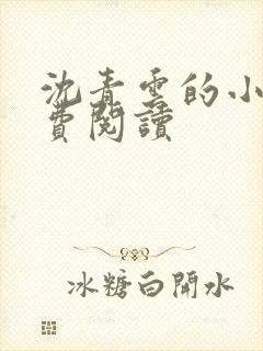 沈青云的小说免费阅读