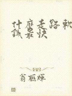 什么走路软件赚钱最快