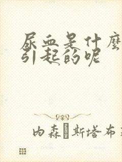 尿血是什么原因引起的呢