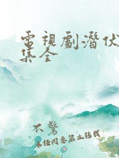 电视剧潜伏三十集全