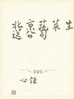 北京蔬菜生鲜配送公司