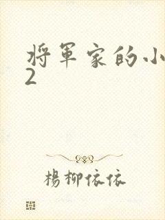 将军家的小娘子2