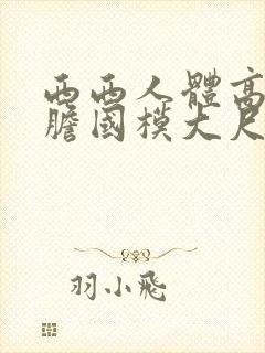 西西人体高清大胆国模大尺度