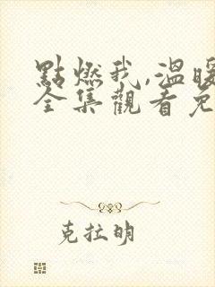 点燃我,温暖你全集观看免费