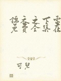 锦衣之下电视剧免费全集在线观看