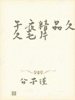 午夜精品久久久久毛片