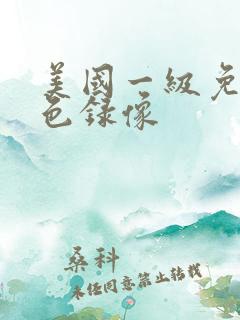 美国一级免费黄色录像