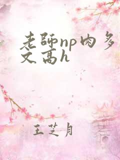 老师np肉多荤文高h