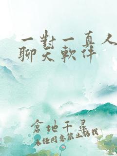 一对一真人视频聊天软件