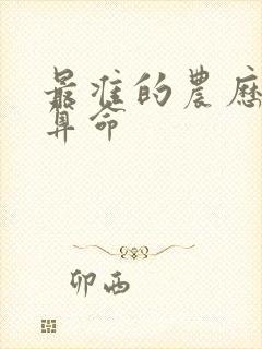 最准的农历免费算命