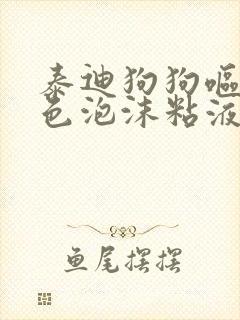 泰迪狗狗呕吐白色泡沫粘液