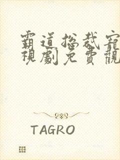 霸道总裁宠妻电视剧免费观看