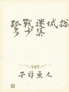 孤战迷城总共有多少集