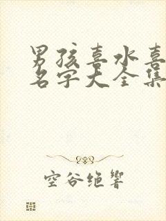 男孩喜水喜金的名字大全集