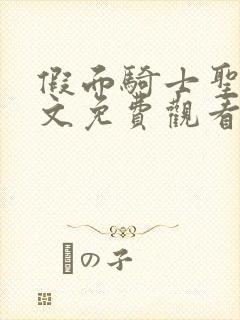 假面骑士圣刃中文免费观看