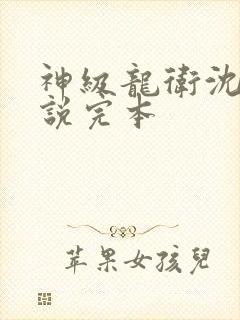 神级龙卫沈浪小说完本