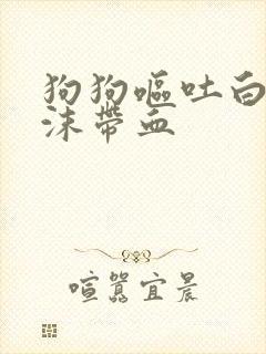 狗狗呕吐白色泡沫带血