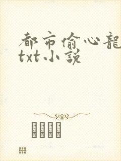 都市偷心龙爪手txt小说