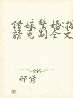 错嫁惊婚:总裁请克制全文阅读