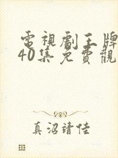 电视剧王牌部队40集免费观看