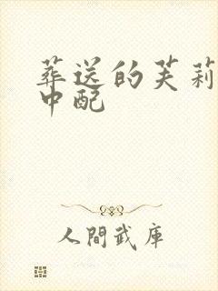 葬送的芙莉莲 中配