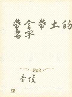 带金带土的男孩名字