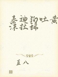 泰迪狗吐黄水带沫拉稀