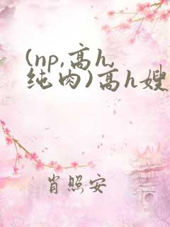 (np,高h,纯肉)高h嫂子
