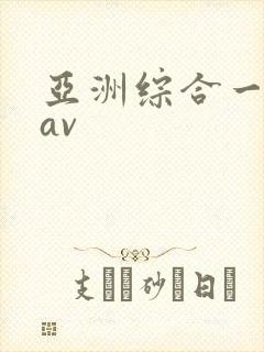 亚洲综合一区二av
