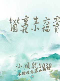 txt重生六零团宠小福宝下载