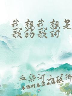 我想我想是什么歌的歌词